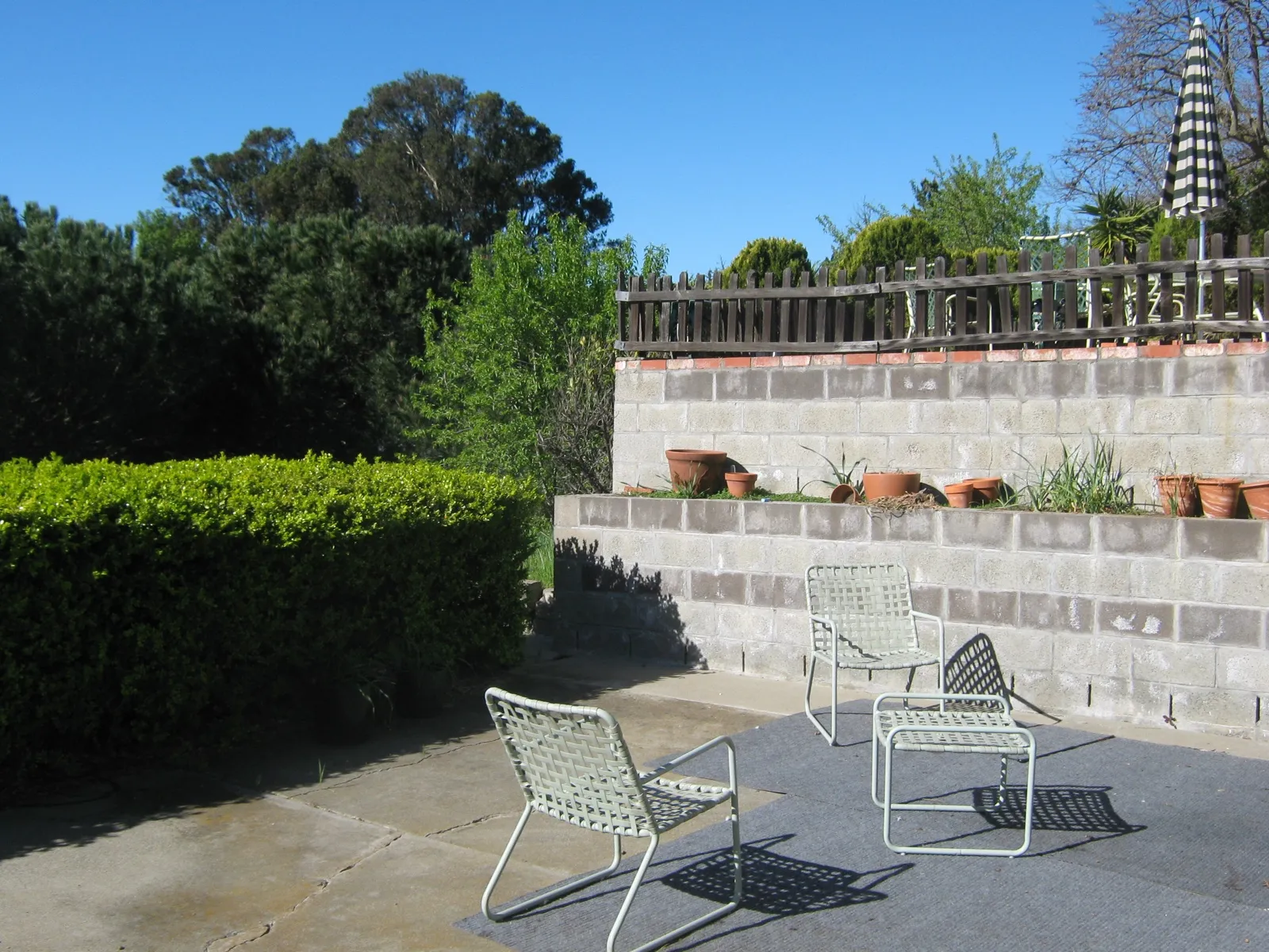 Before — the original yard in Benicia