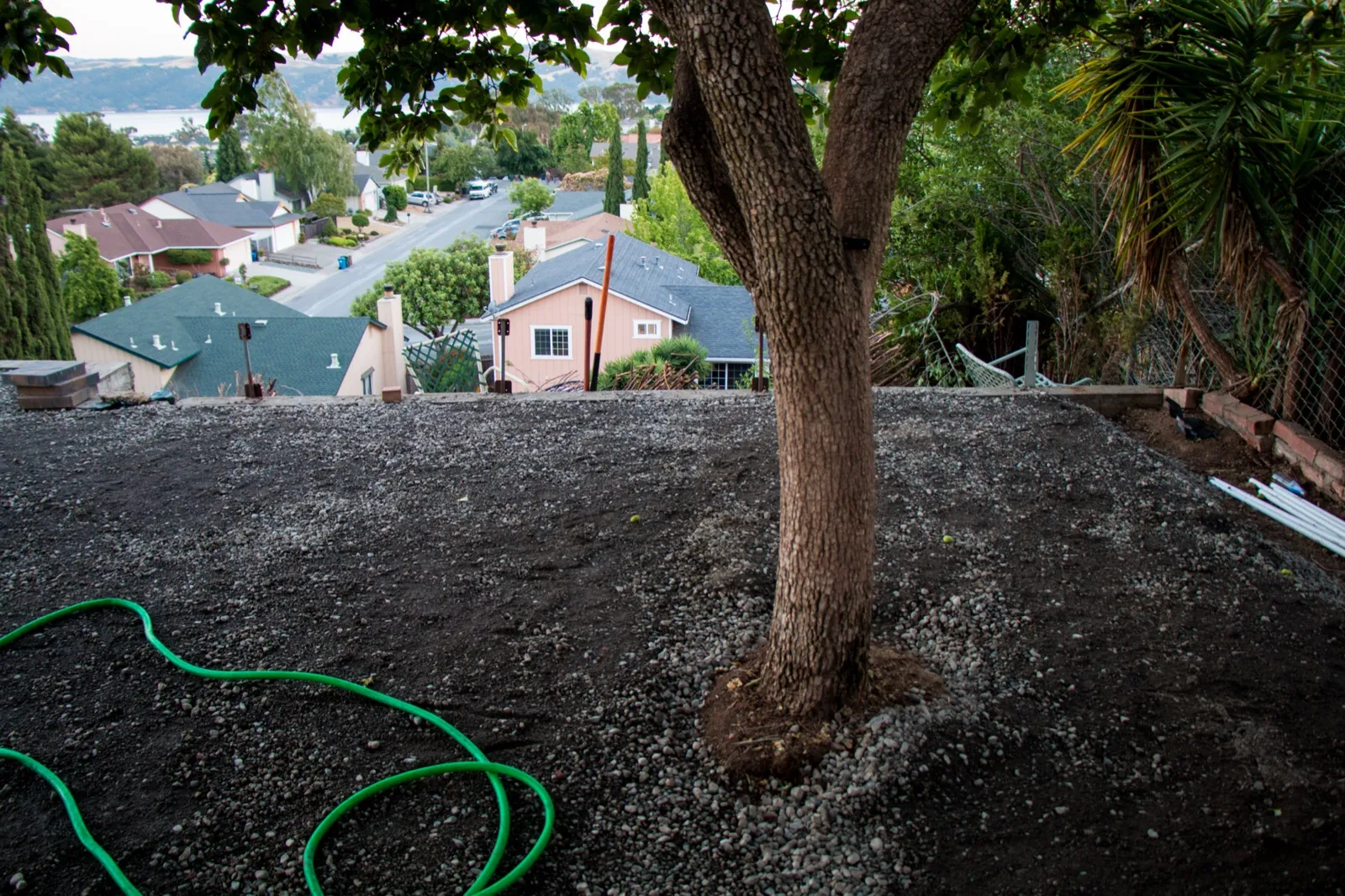 Before — the original yard in Benicia
