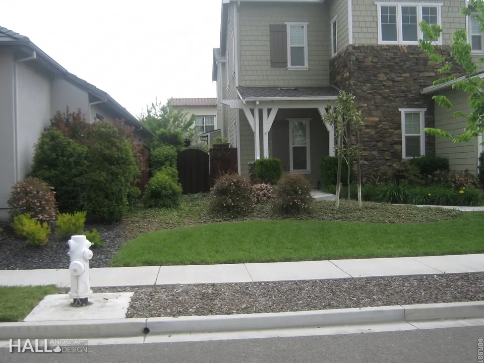 Before — the original yard in Calistoga
