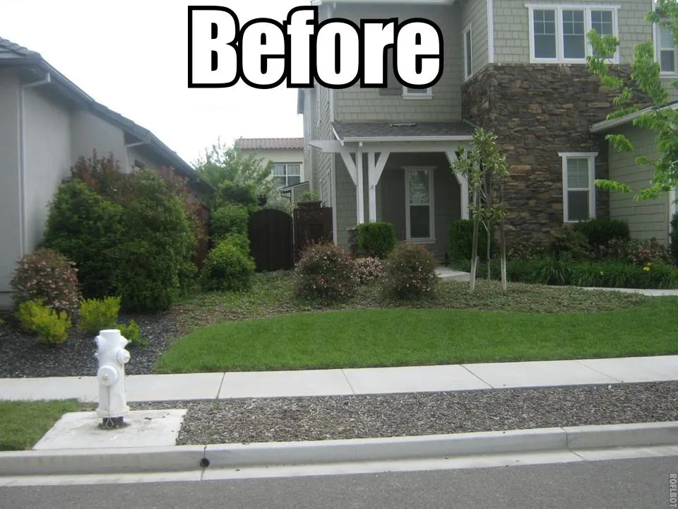Before — the original yard in Calistoga