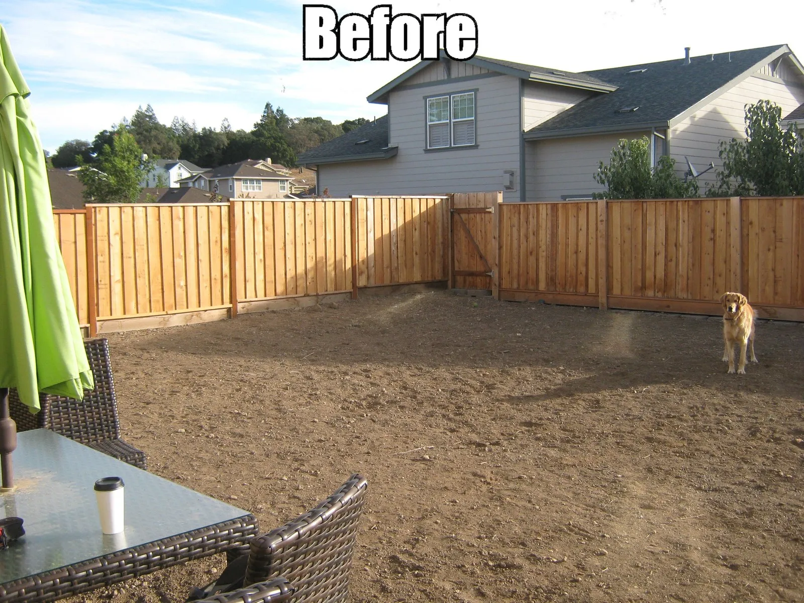 Before — the original yard in Calistoga