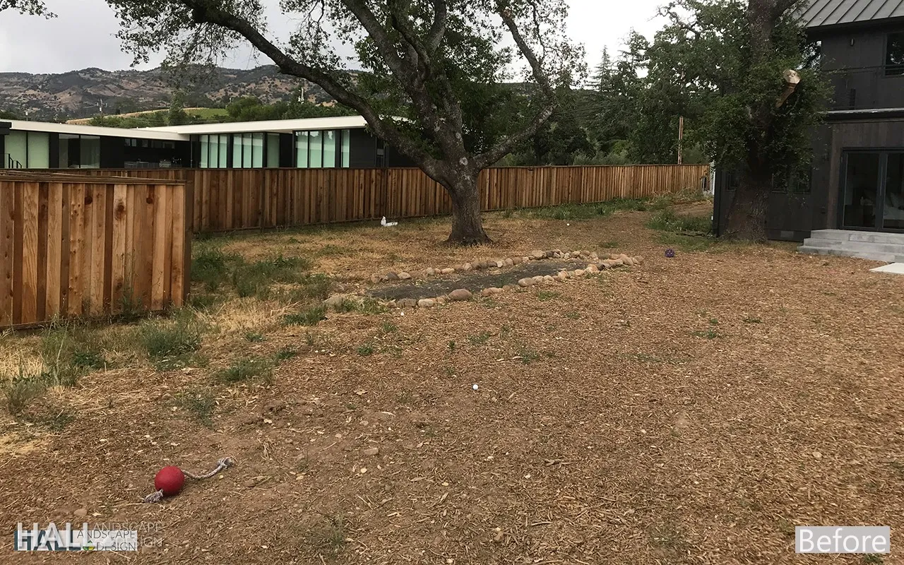 Before — the original yard in Calistoga