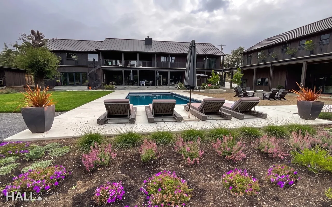 After — Bare yard → modern pool deck with flowering borders in Calistoga