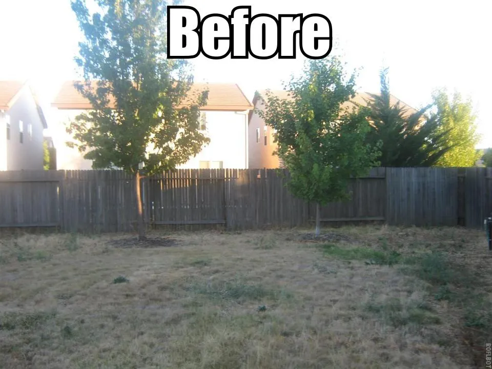 Before — the original yard in Dixon