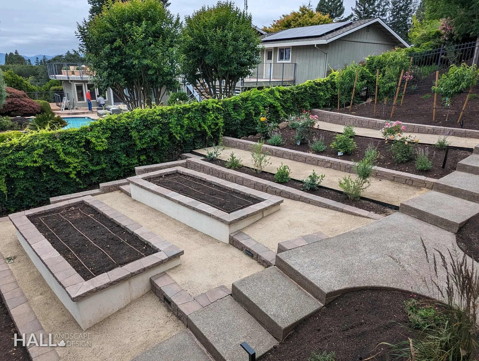 After — Overgrown raised beds → three stone-capped planters & a kitchen garden in Fairfield
