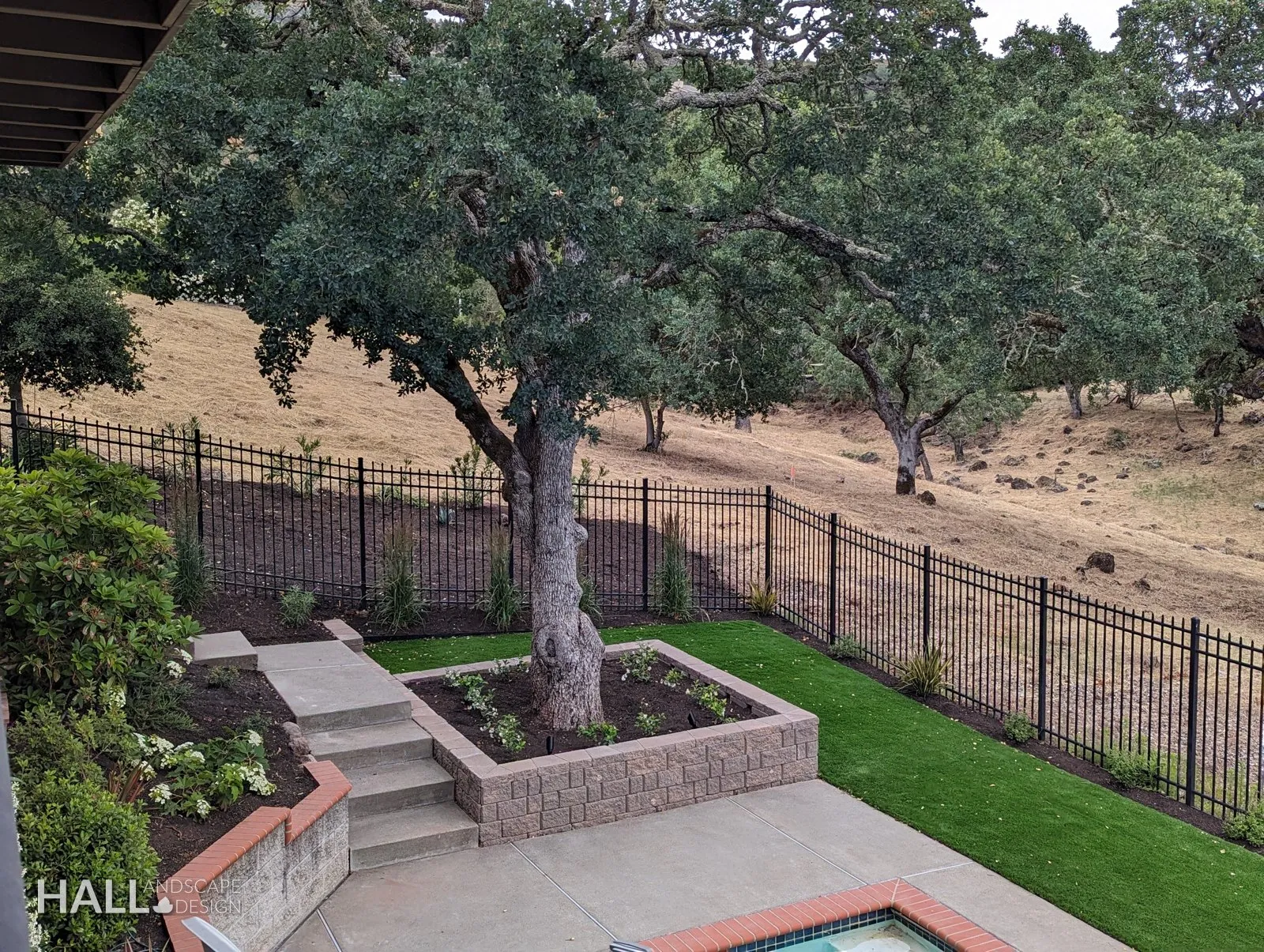After — Bare oak corner → stone tree ring, steps & lawn in Fairfield