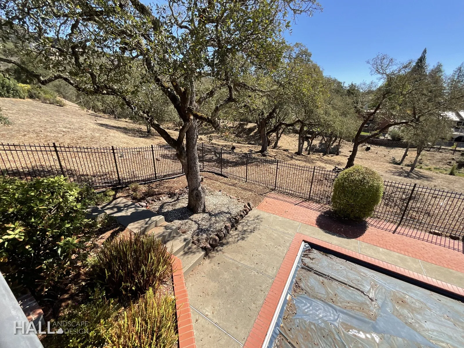 Before — the original yard in Fairfield