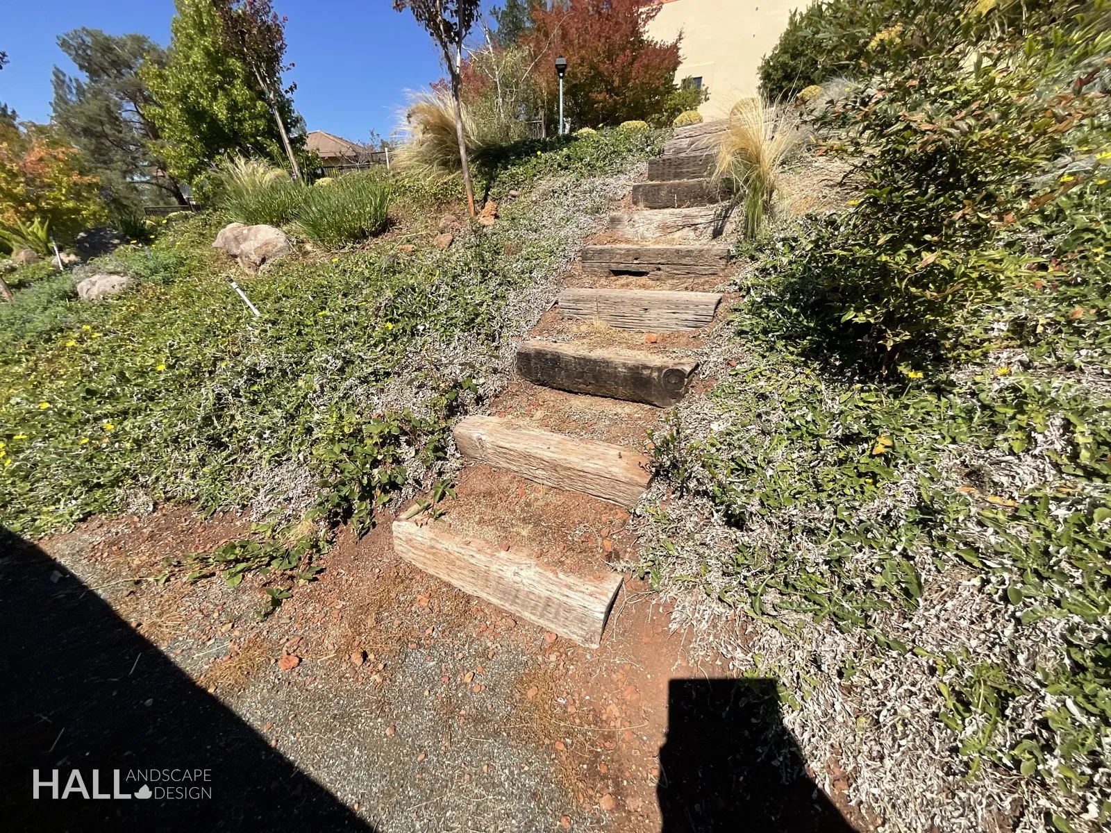 Before — the original yard in Fairfield