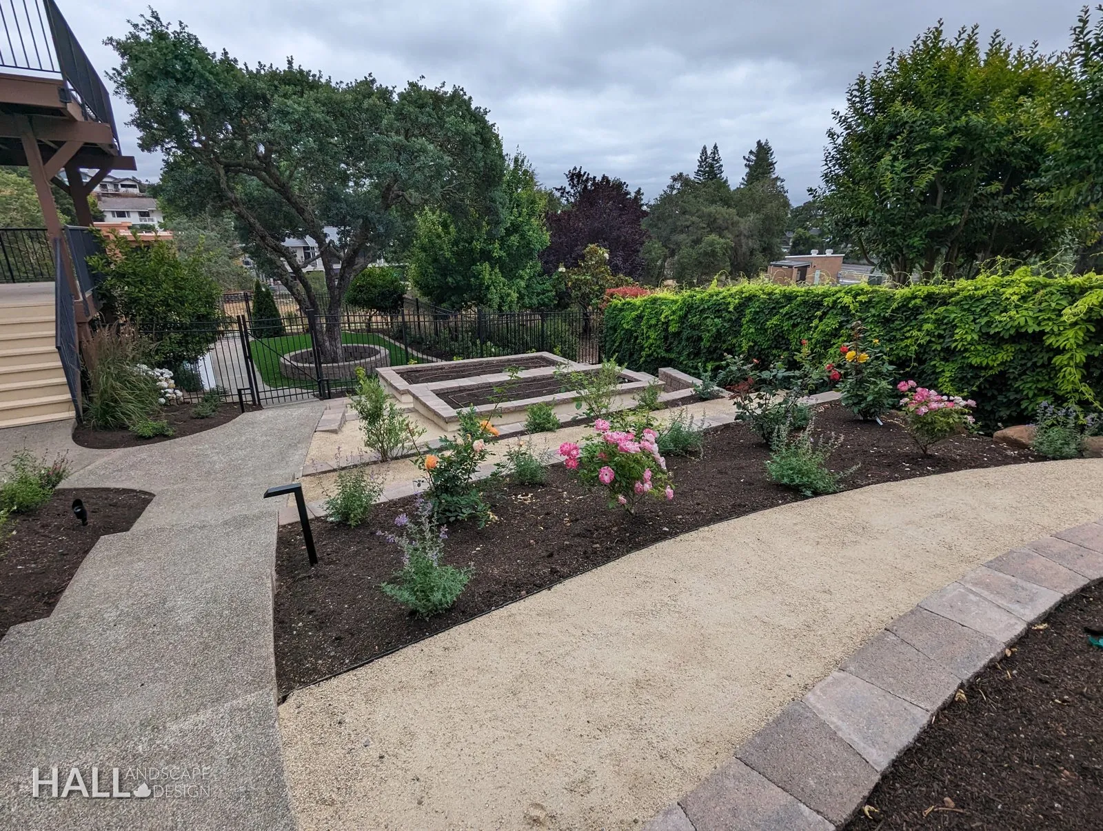 After — Bare path edge → gravel walk, rose beds & a low seat wall in Fairfield