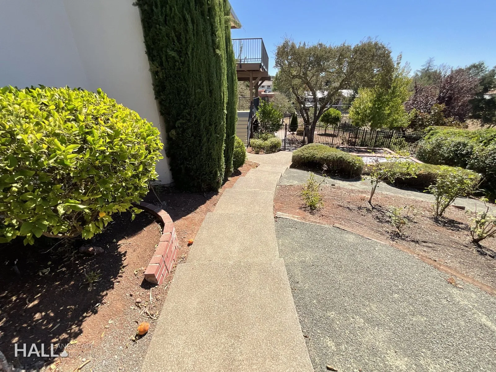 Before — the original yard in Fairfield