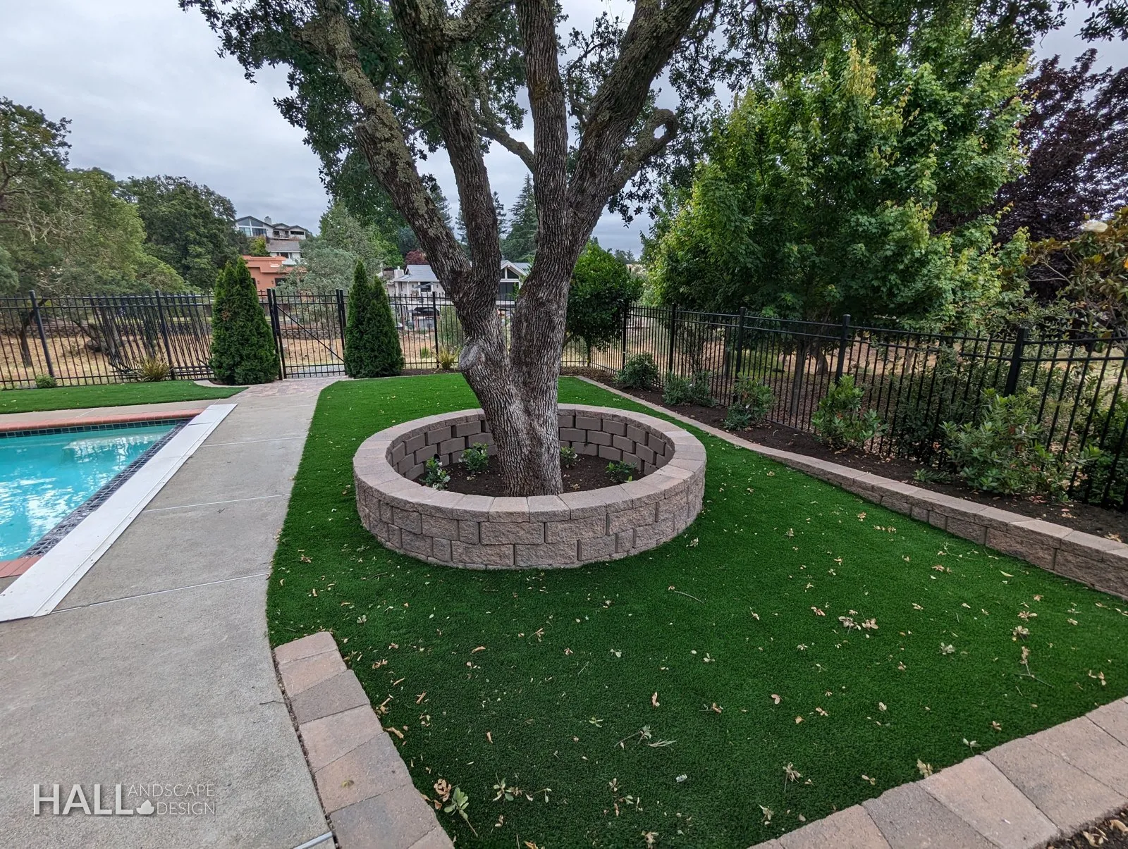 After — Dead lawn under the oak → tree ring, turf & the new pool beyond in Fairfield