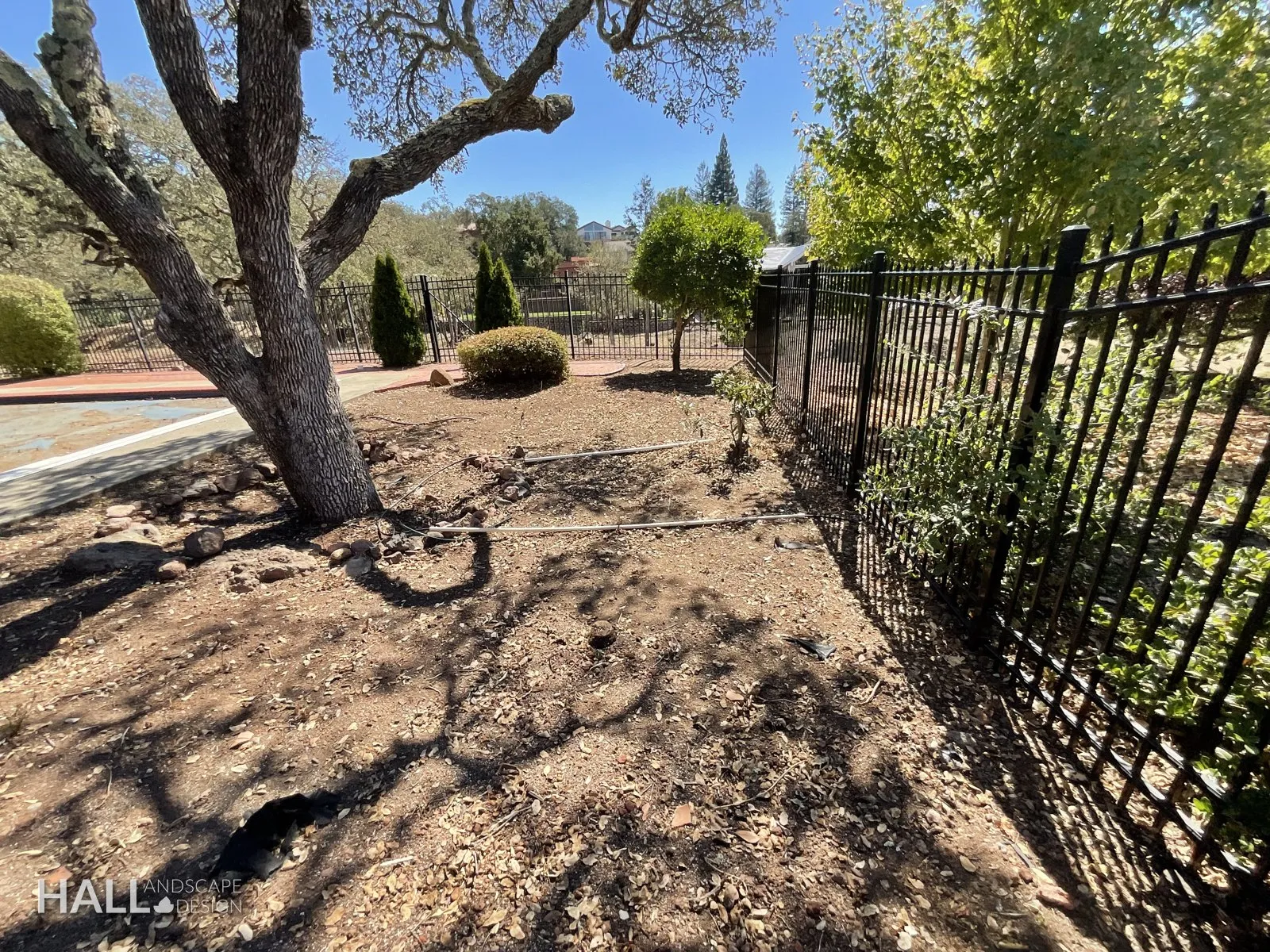Before — the original yard in Fairfield