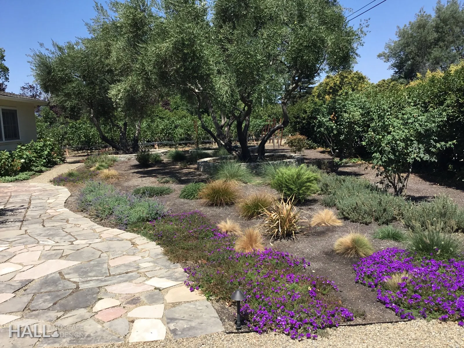Front Yards by Hall Landscape Design — Fairfield, CA