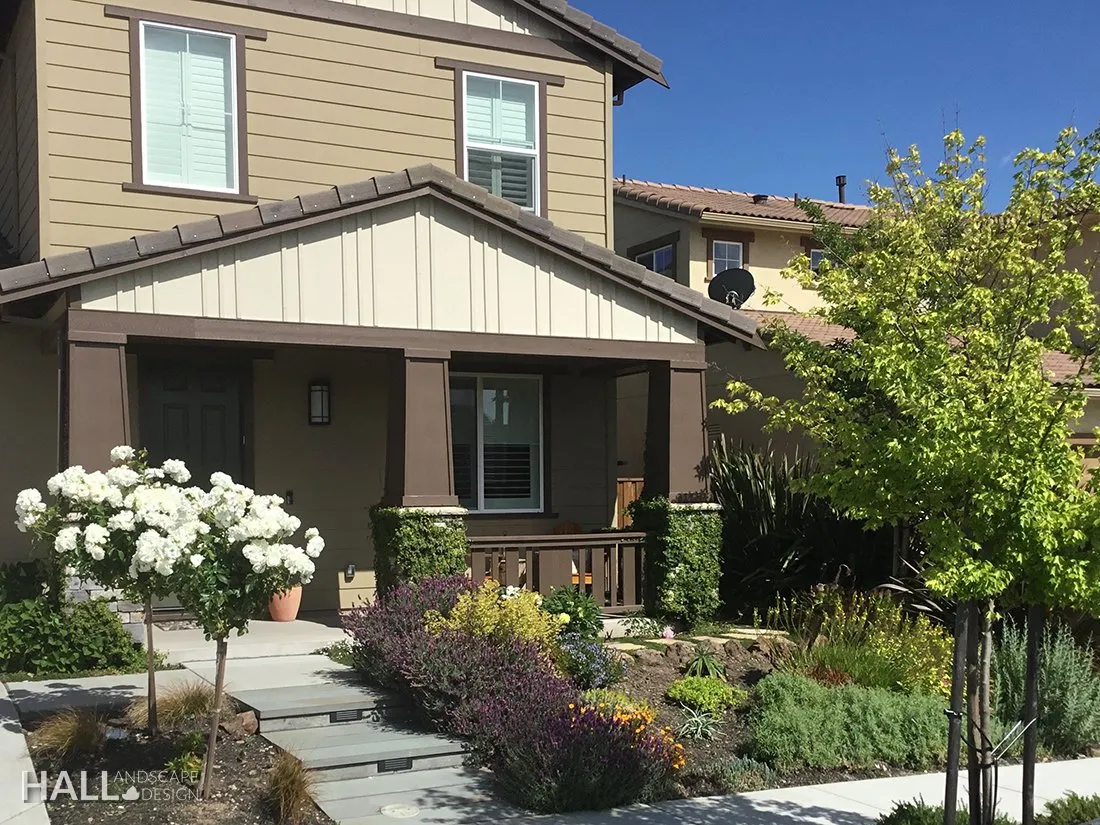 Front Yards by Hall Landscape Design — Napa Valley & North Bay