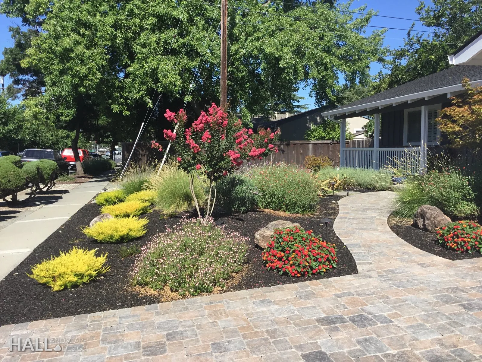 Front Yards by Hall Landscape Design — San Rafael, CA