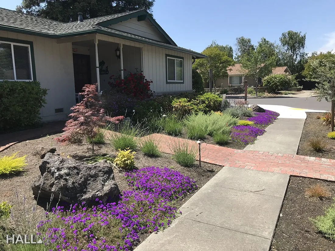 Front Yards by Hall Landscape Design — Walnut Creek, CA