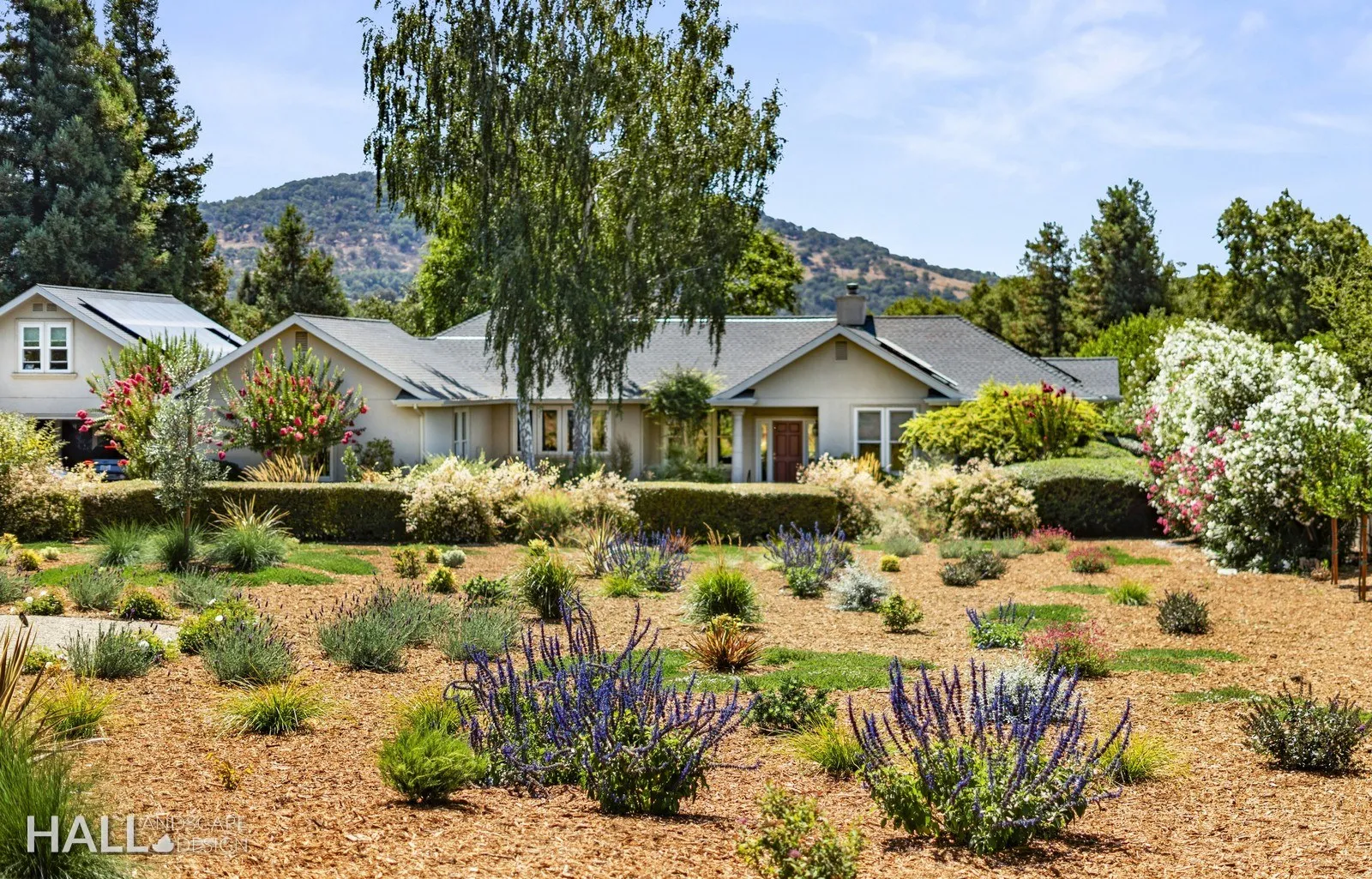Front Yards by Hall Landscape Design — Napa, CA
