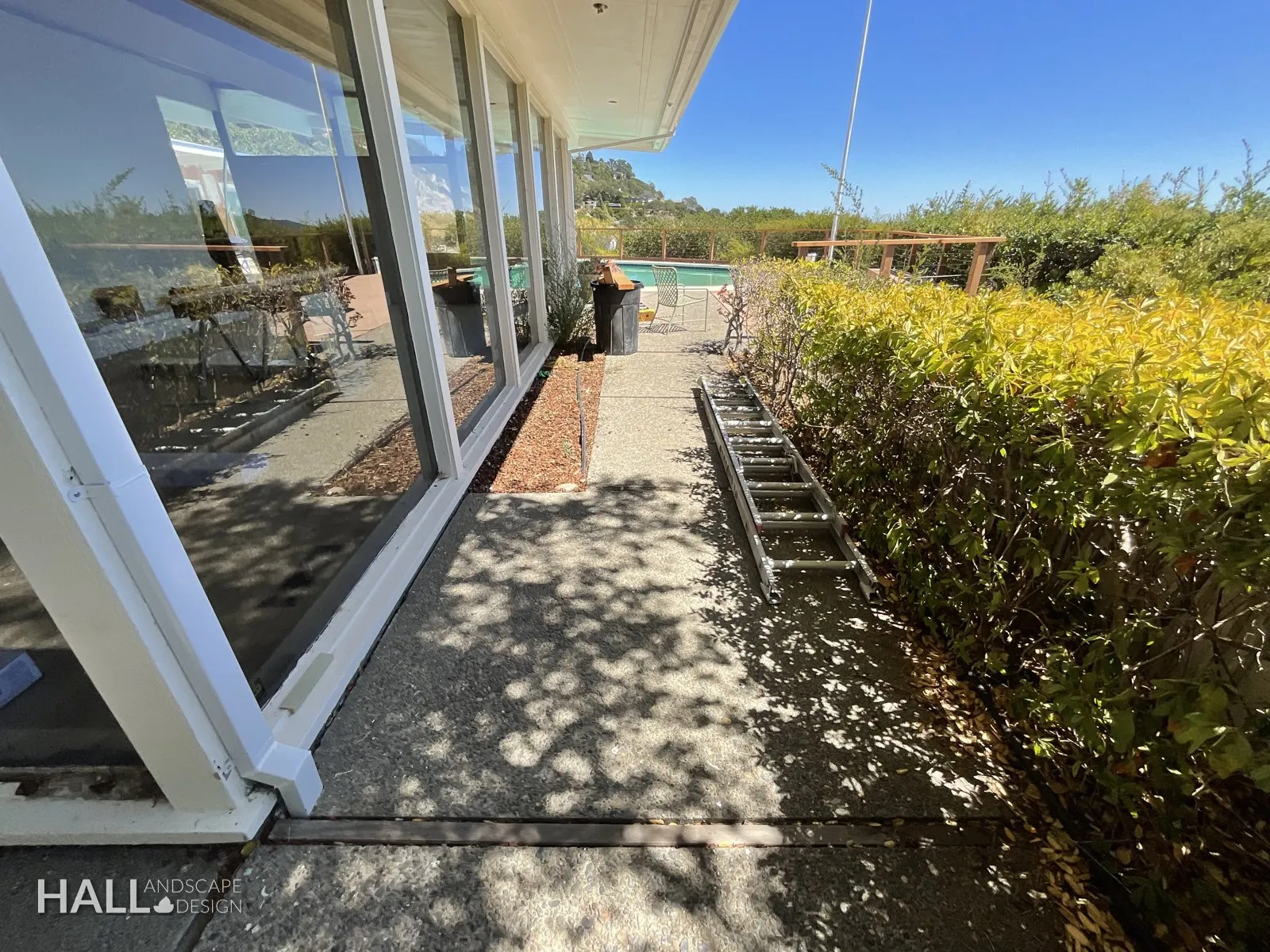 Before — the original yard in Greenbrae