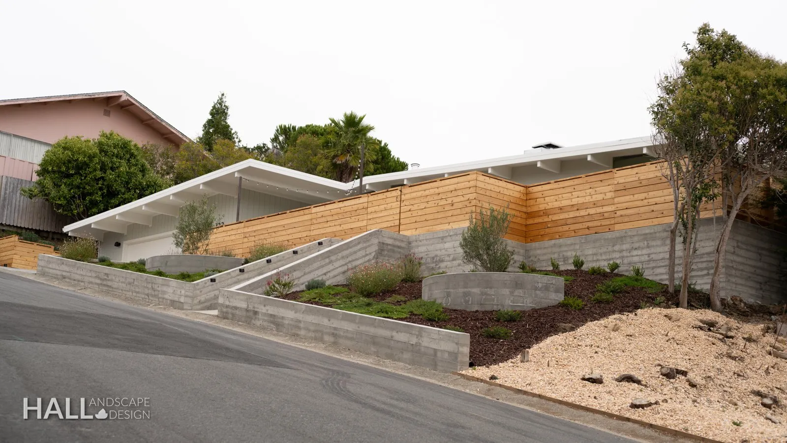 After — Eucalyptus scrub bank → board-formed concrete walls & a cedar screen at the street in Greenbrae