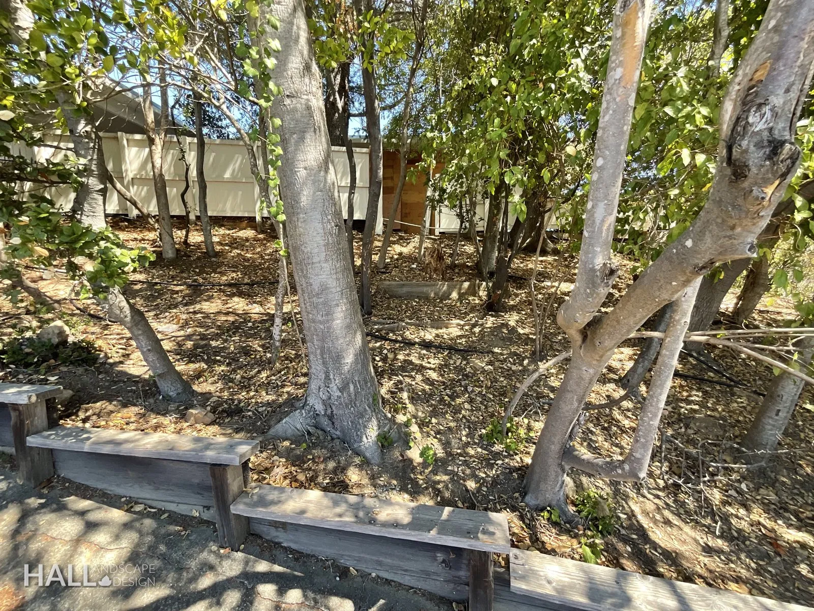 Before — the original yard in Greenbrae