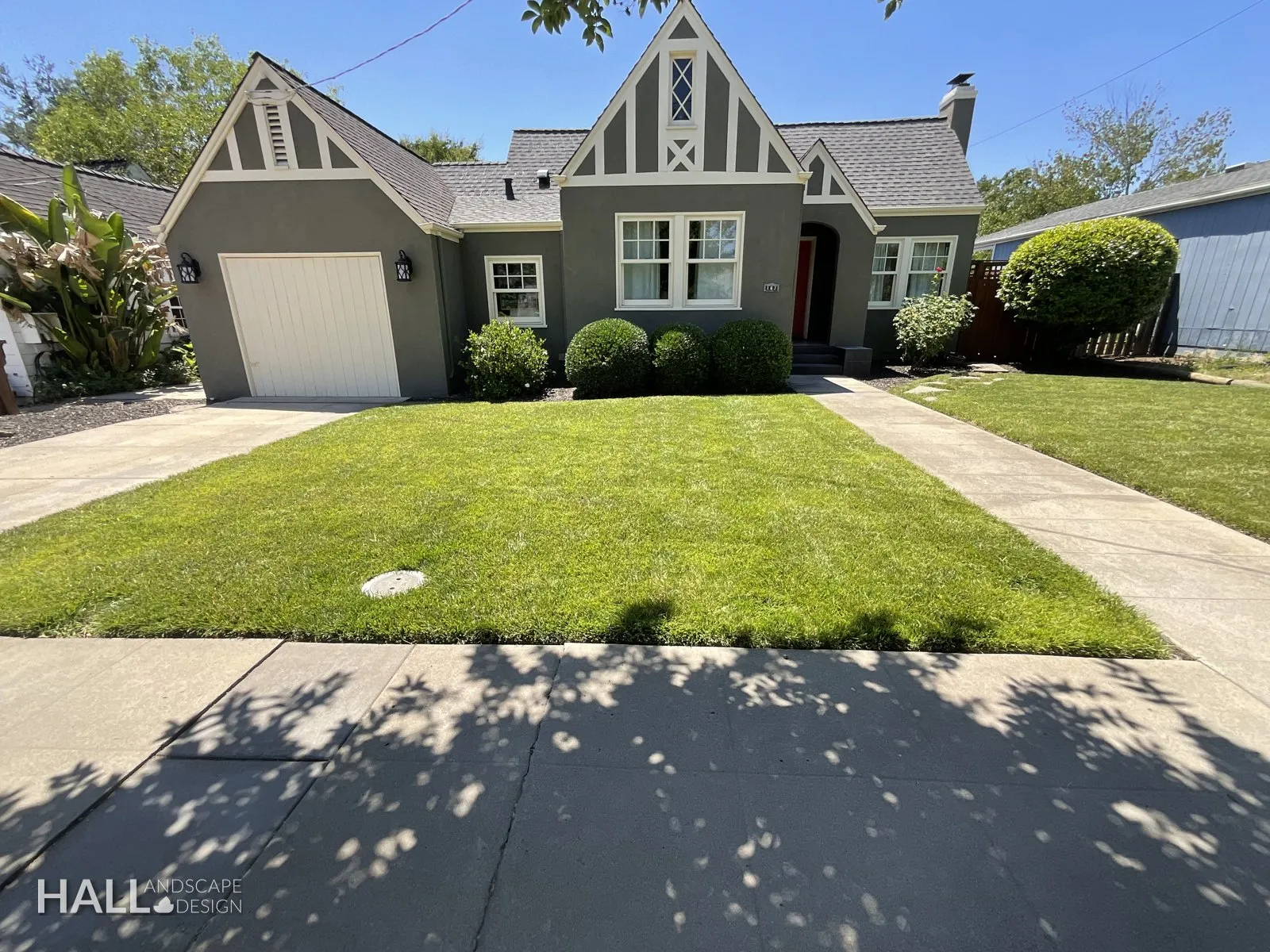 Before — the original yard in Healdsburg