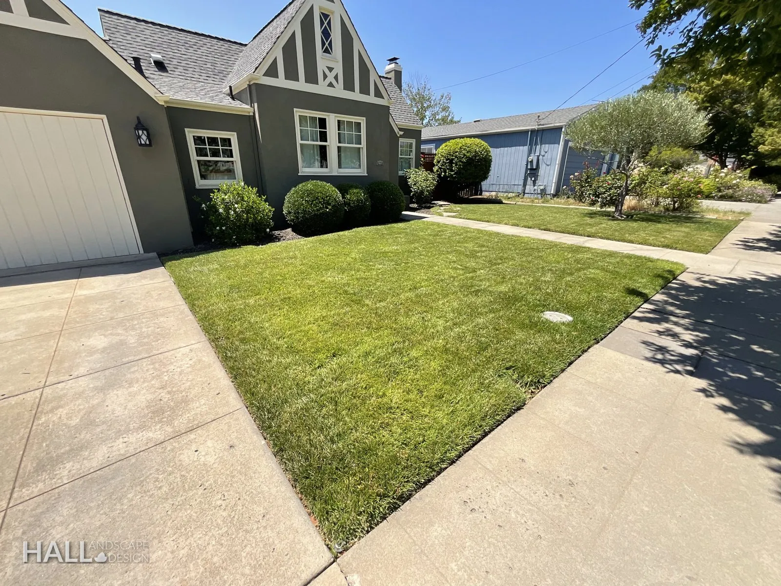 Before — the original yard in Healdsburg