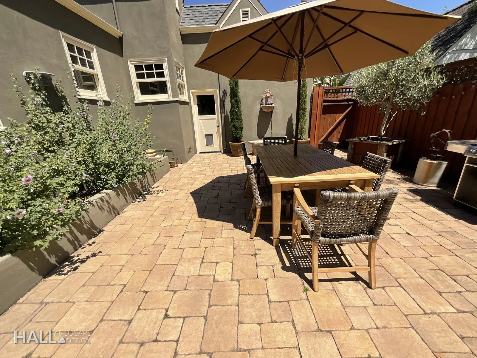 Before — the original yard in Healdsburg
