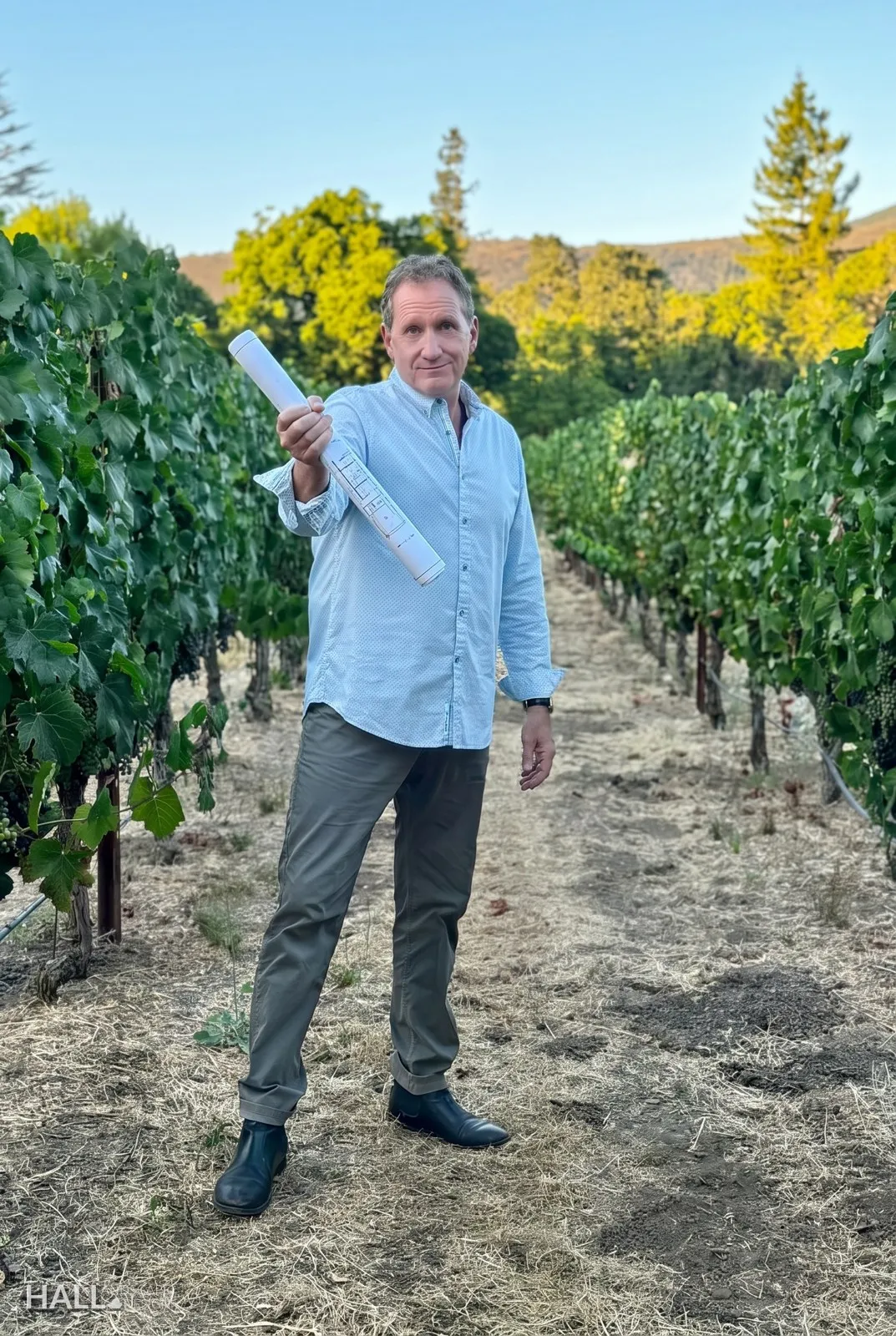 Ian Hall, landscape designer, holding a rolled landscape plan in a Napa Valley vineyard at golden hour