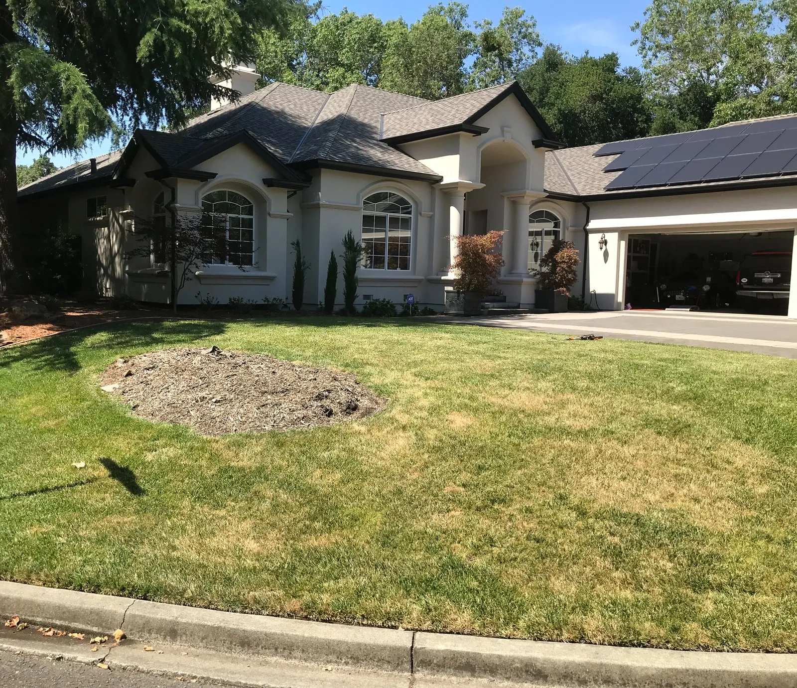 Before — the original yard in Mill Valley