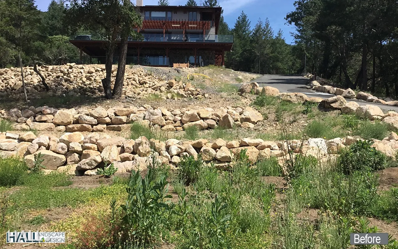 Before — the original yard in Napa