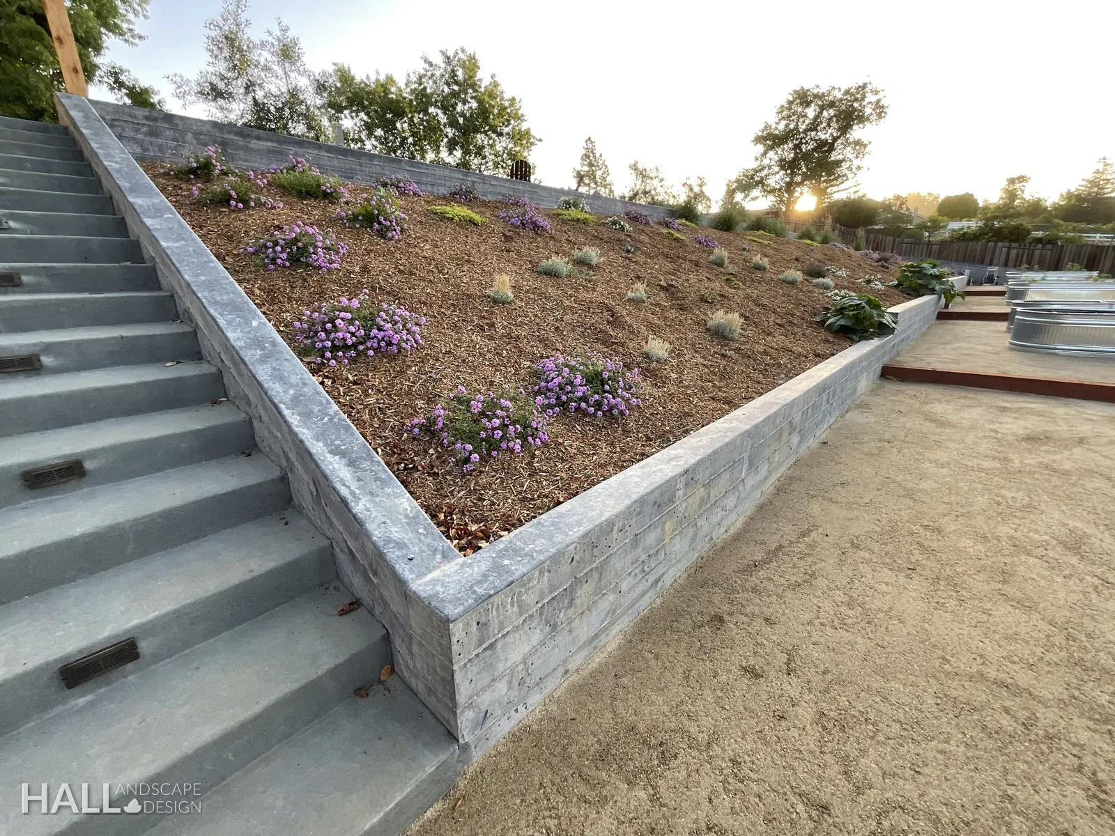 After — Bare hill → stone retaining wall, steps & flowering bank in Napa