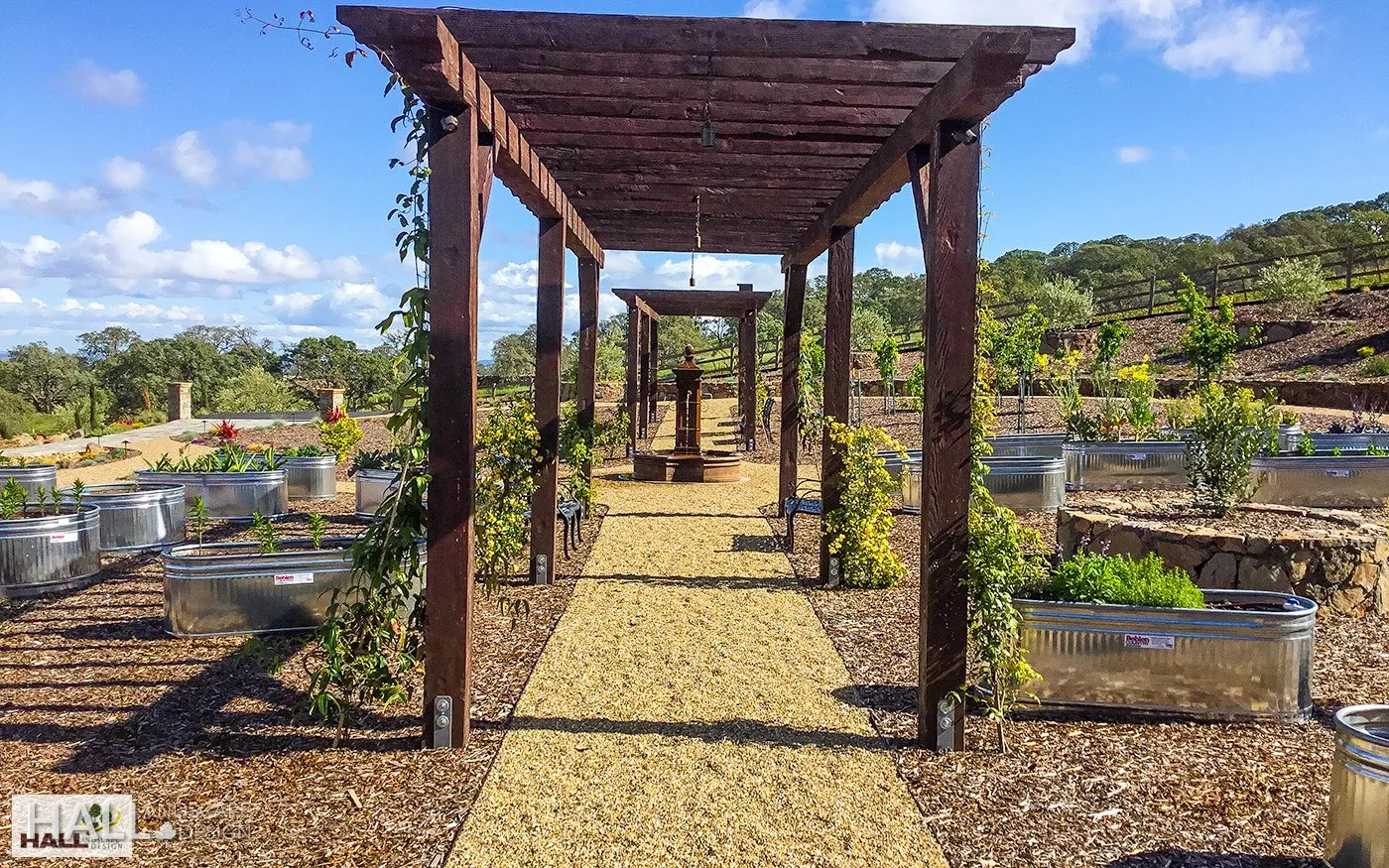 After — Fire-scarred orchard → pergola walkway & raised beds in Napa