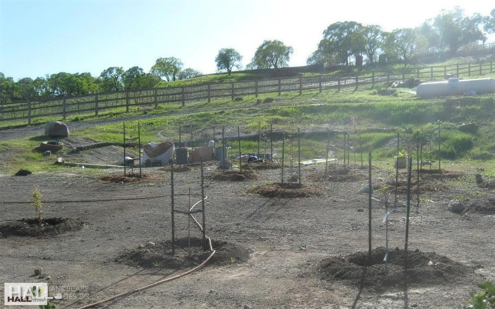 Before — the original yard in Napa