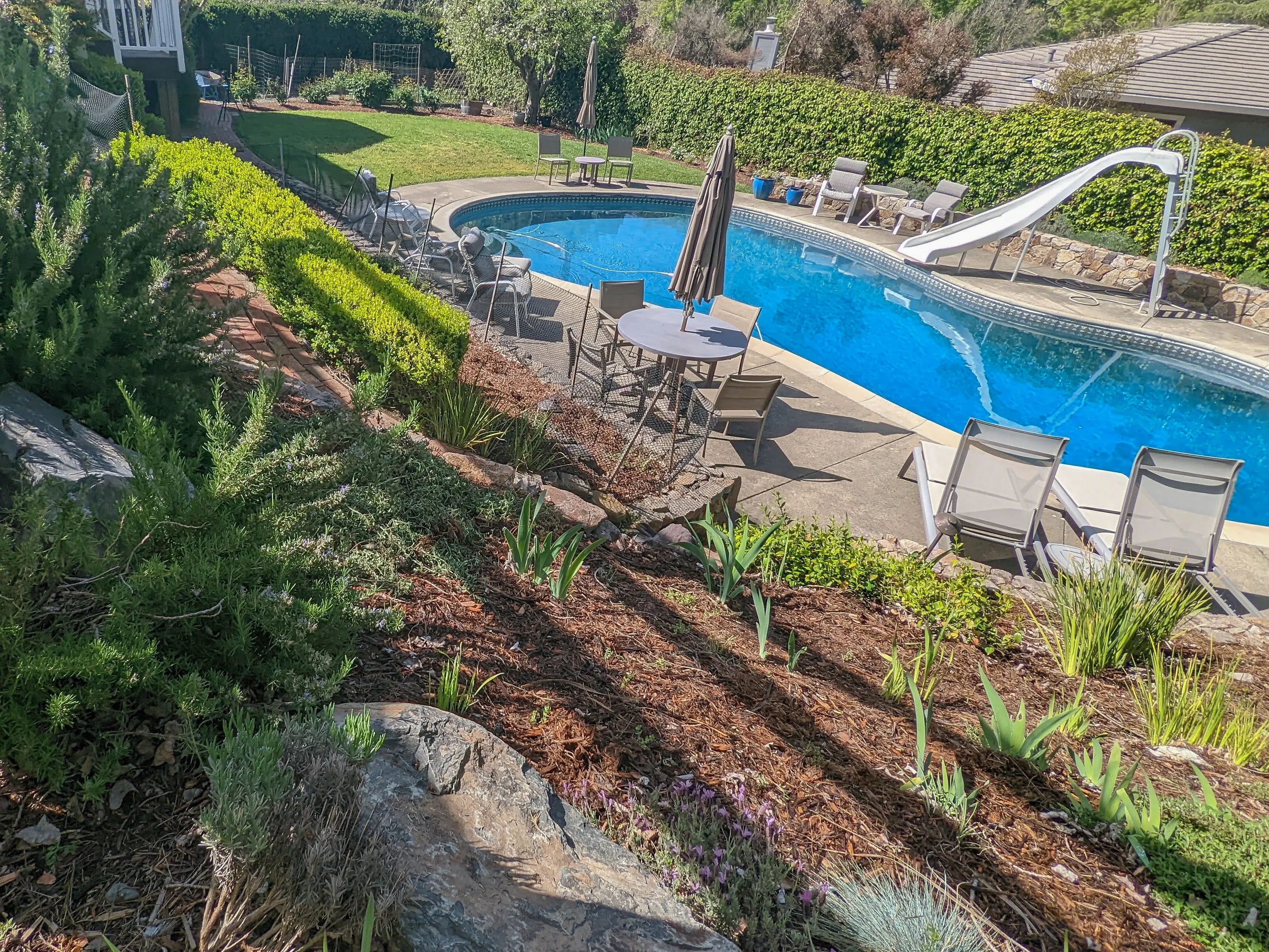 Before — the original yard in Napa