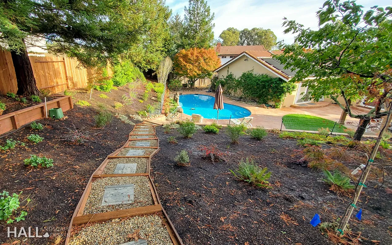 After — Napa pool garden: overgrown slope → pathways & renewed planting in Napa