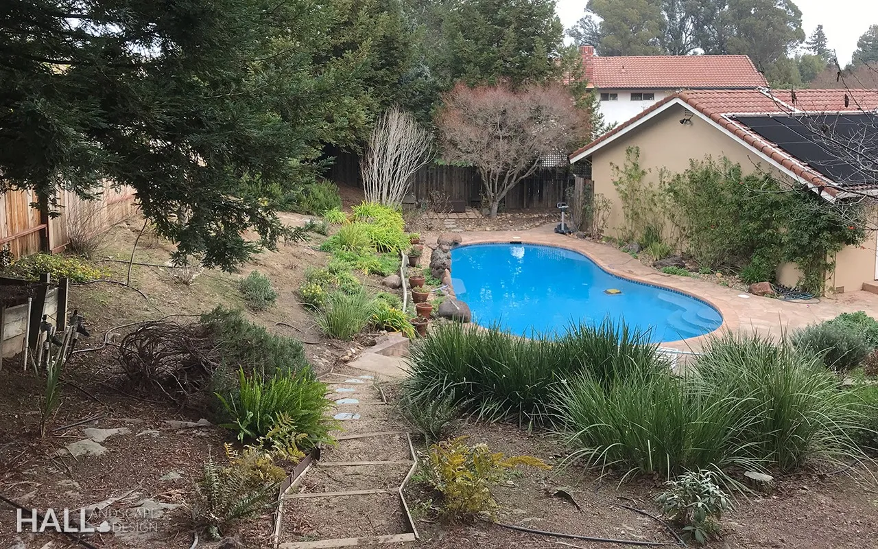 Before — the original yard in Napa