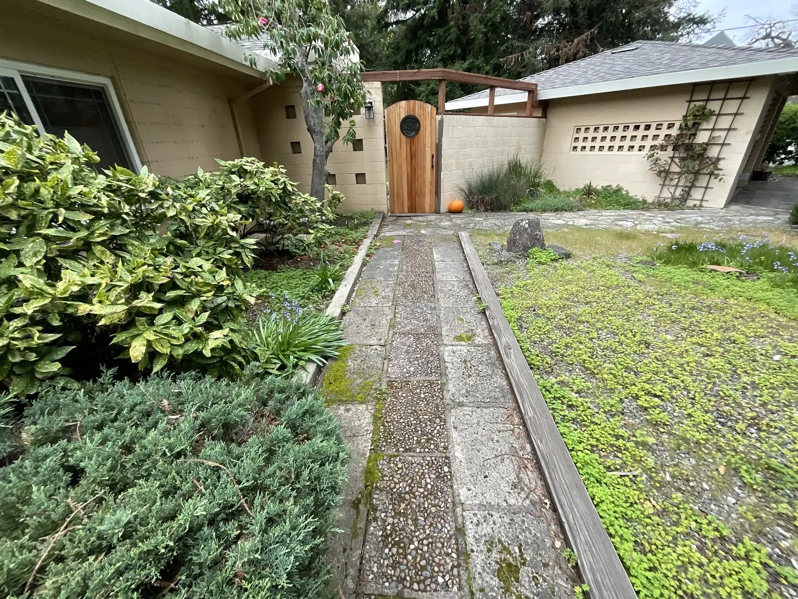 Before — the original yard in Napa
