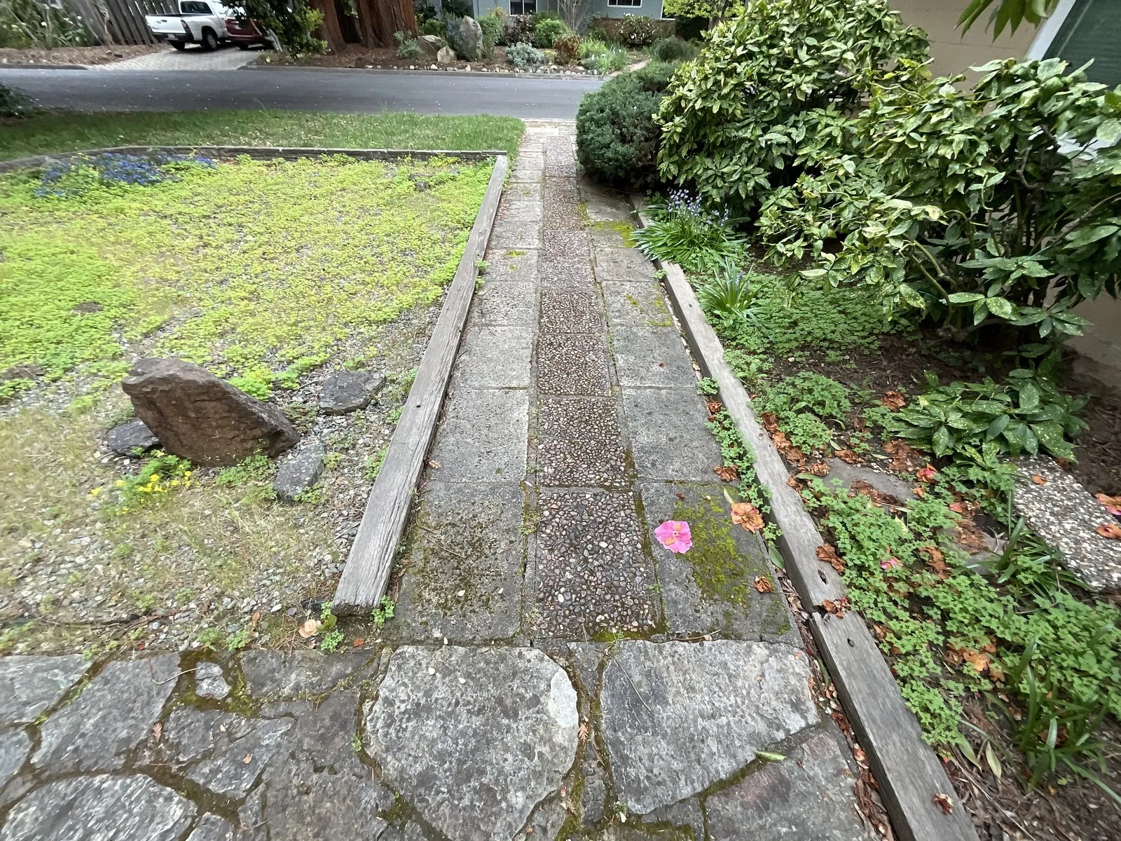 Before — the original yard in Napa