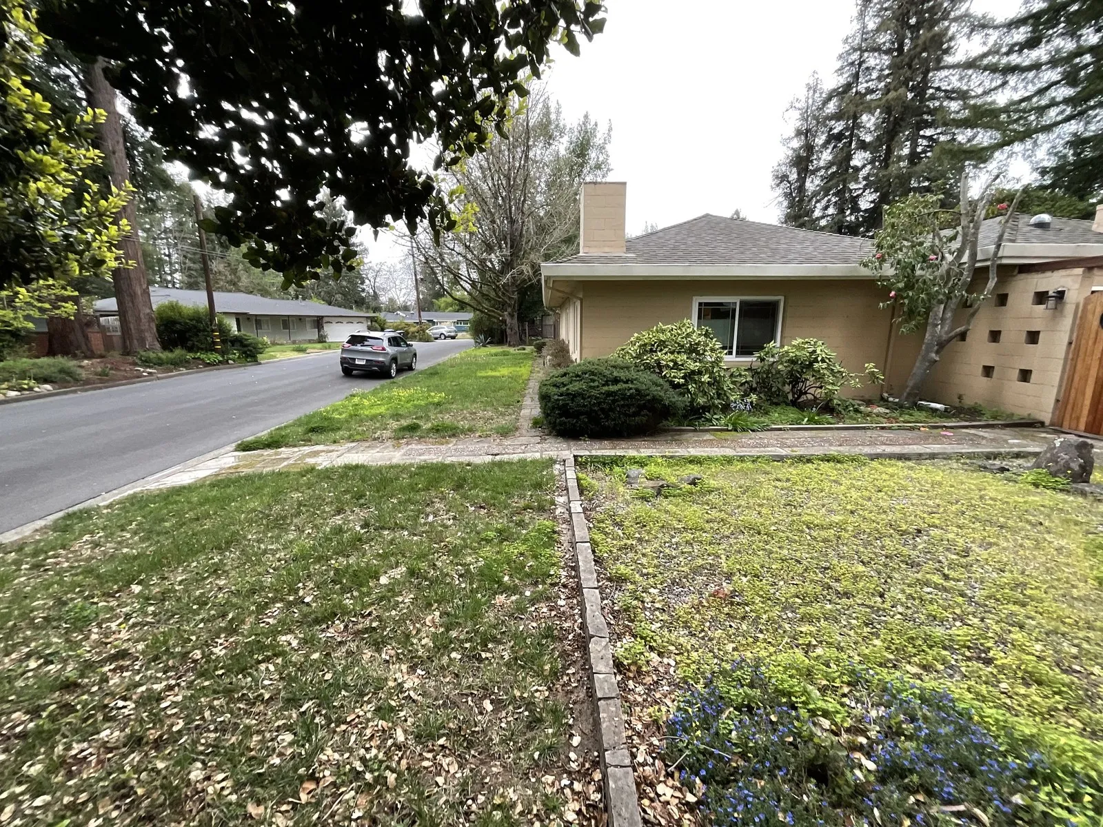 Before — the original yard in Napa