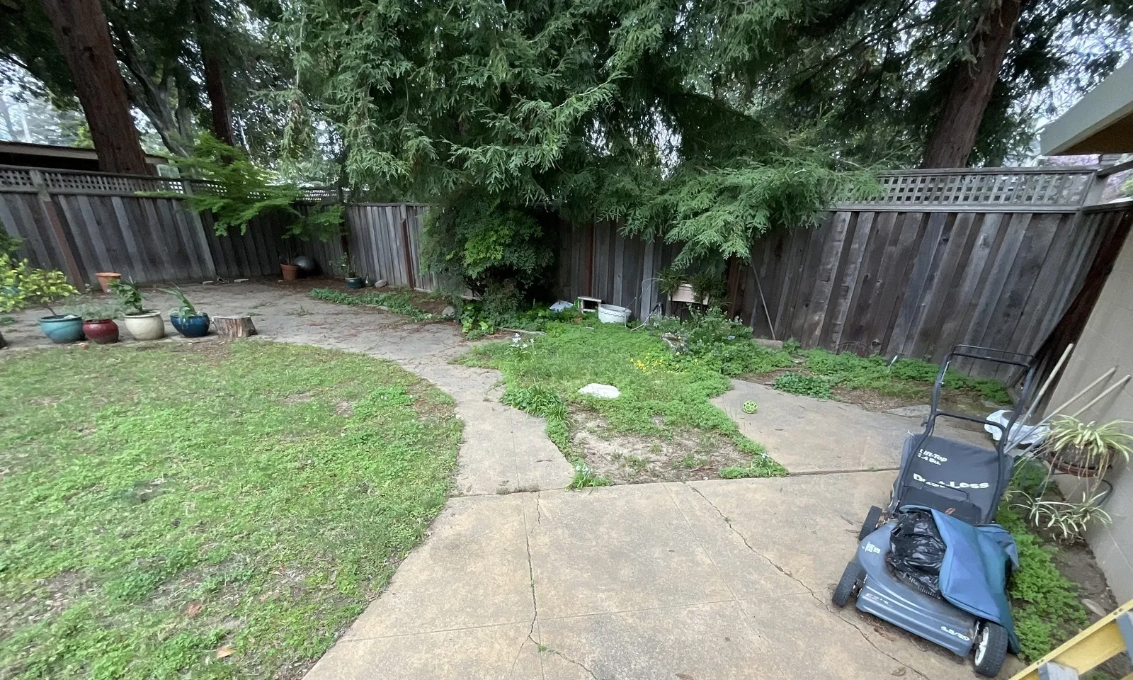 Before — the original yard in Napa