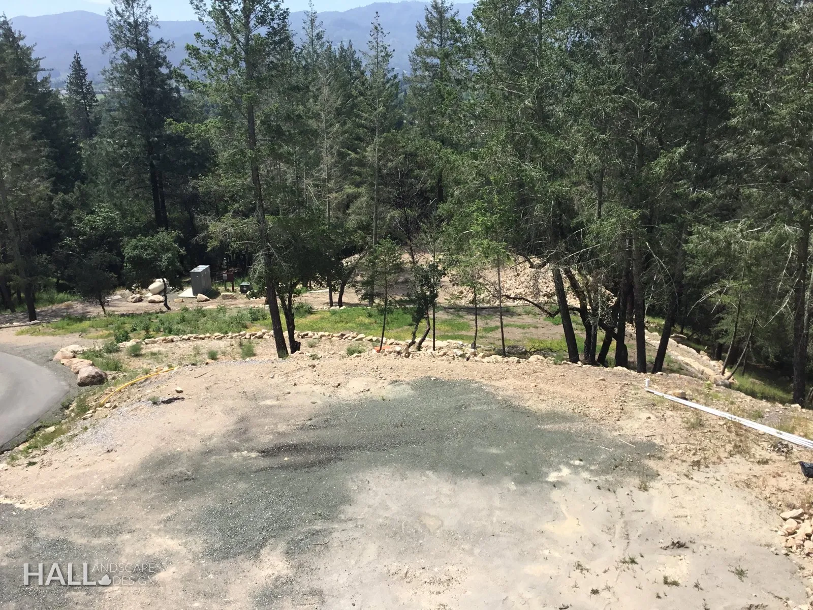 Before — the original yard in Napa