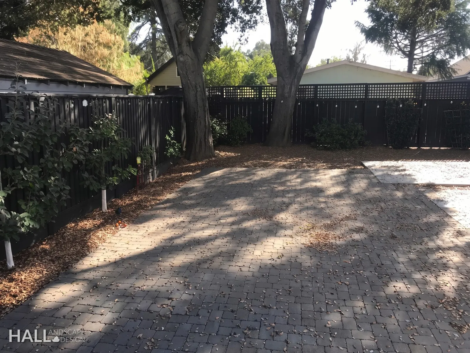Before — the original yard in Napa