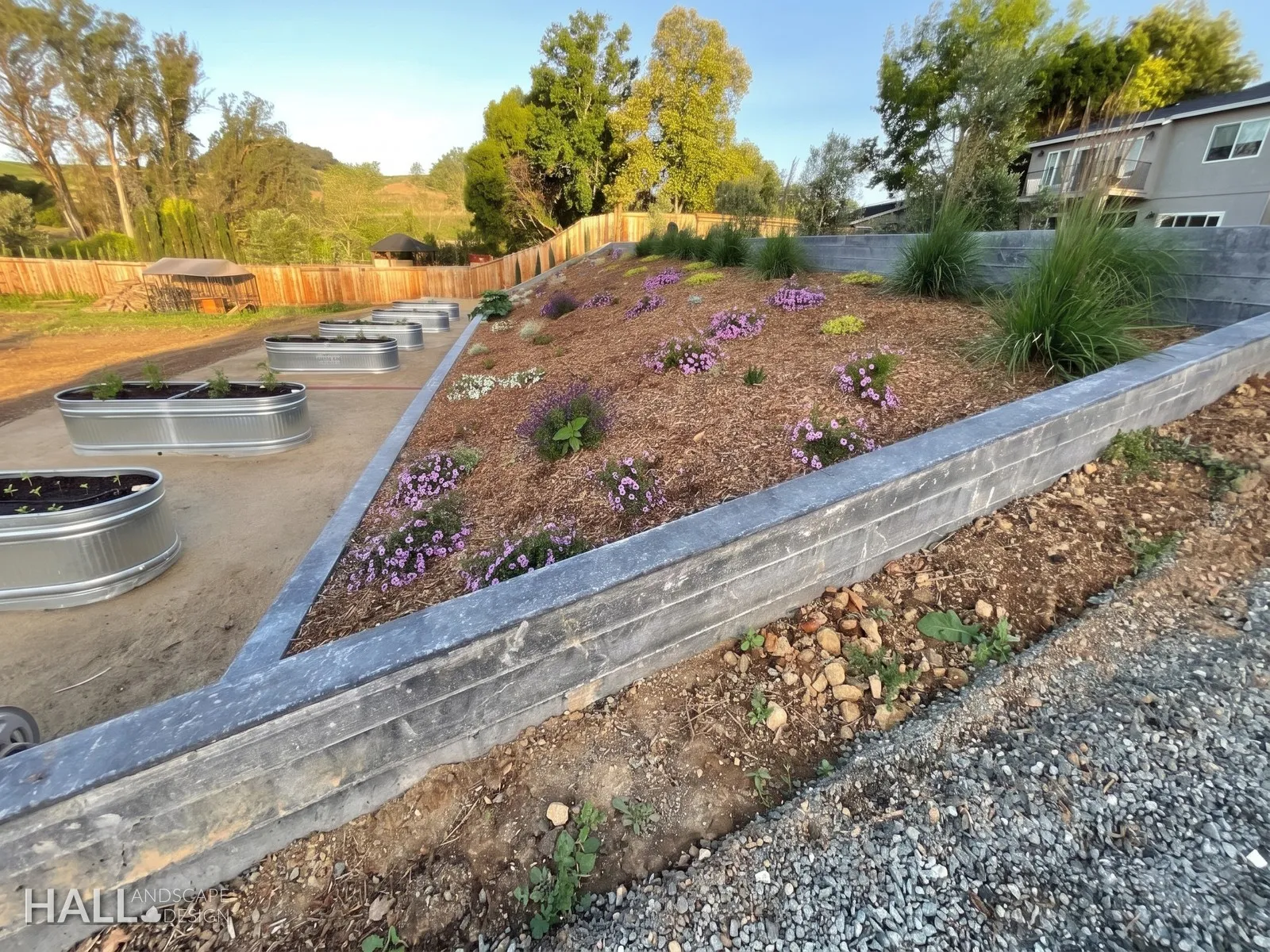 After — Raw slope → terraced hillside with steel trough planters in Novato