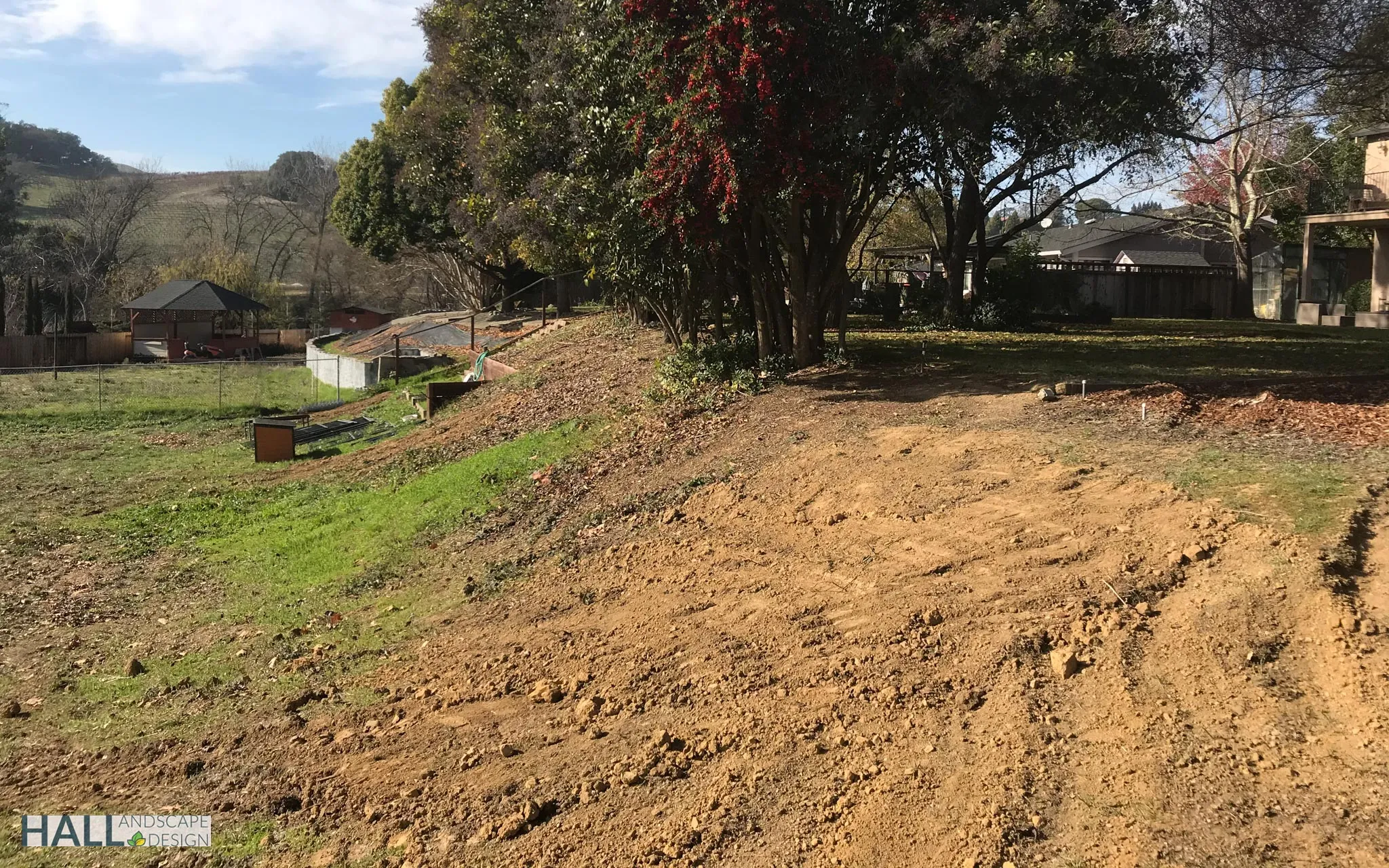 Before — the original yard in Novato
