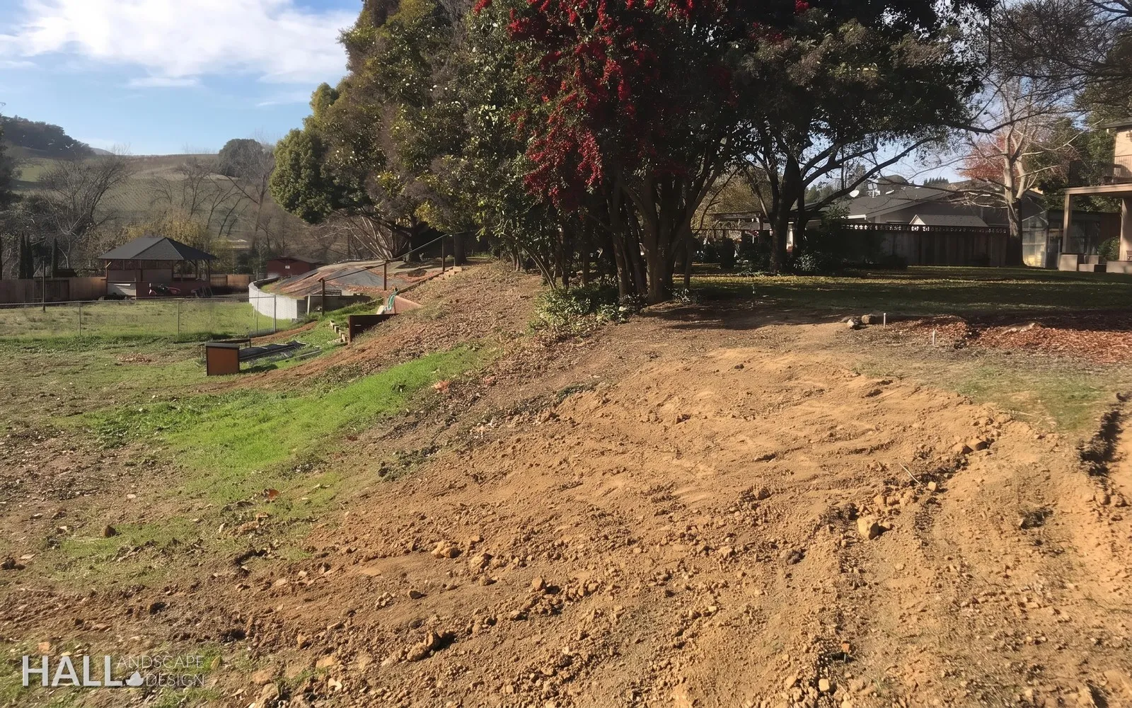 Before — the original yard in Novato