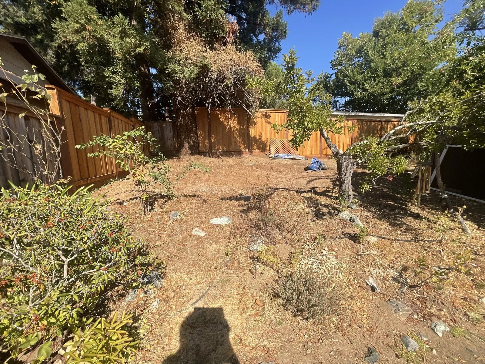Before — the original yard in Novato