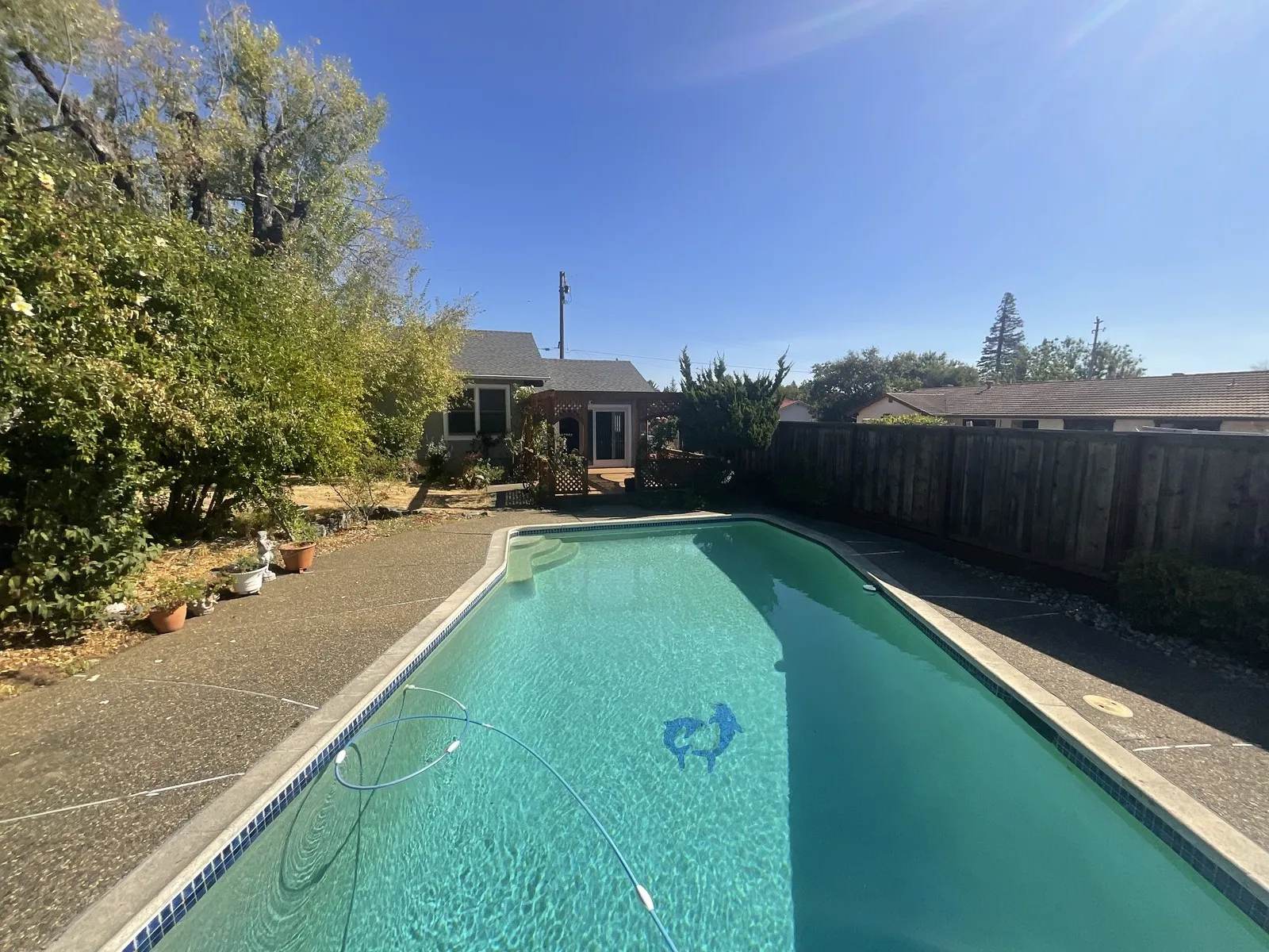 Before — the original yard in Novato