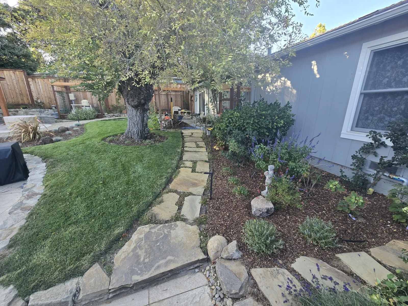 After — Side yard → flagstone path, lawn & salvia border in Novato