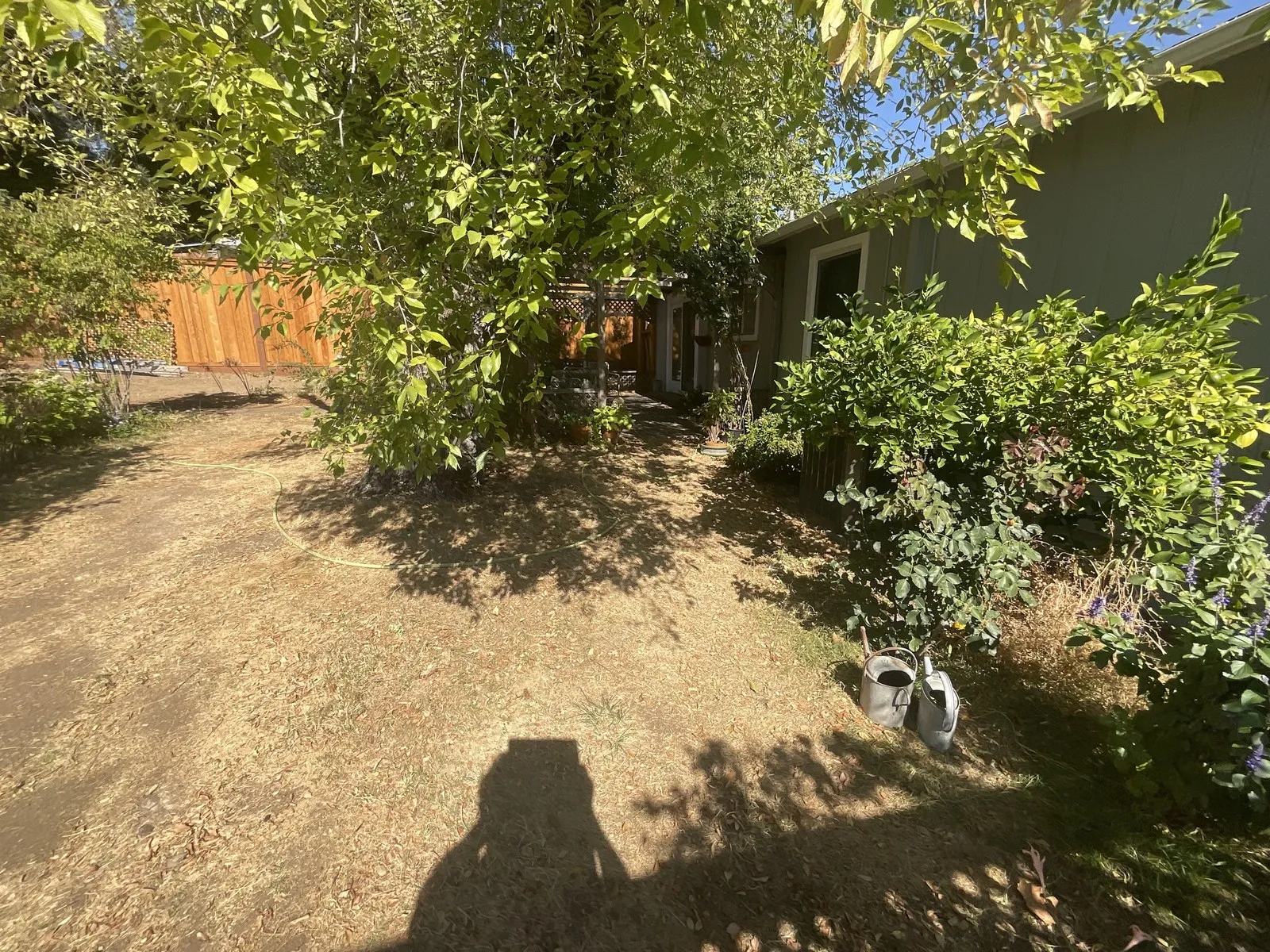 Before — the original yard in Novato