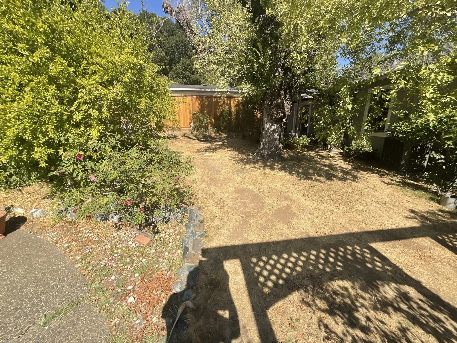 Before — the original yard in Novato